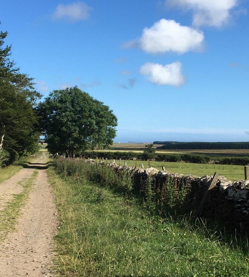 Caithness View Luxury Farm Lodges And Bbq Huts Wick  Eksteriør billede