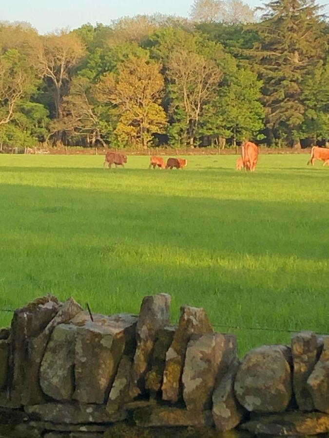 Caithness View Luxury Farm Lodges And Bbq Huts Wick  Eksteriør billede