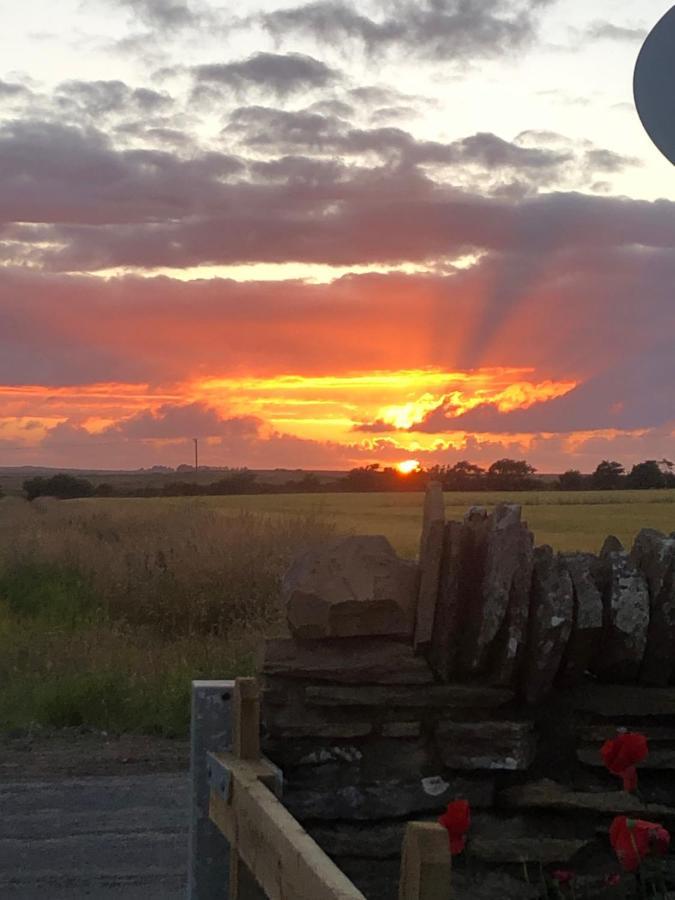 Caithness View Luxury Farm Lodges And Bbq Huts Wick  Eksteriør billede
