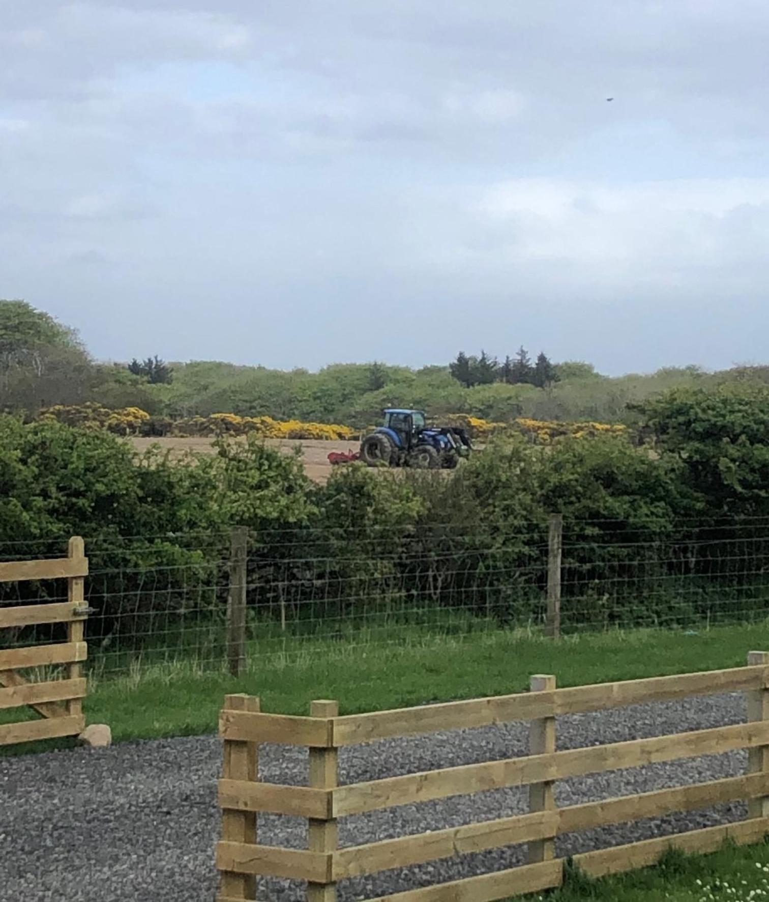Caithness View Luxury Farm Lodges And Bbq Huts Wick  Eksteriør billede